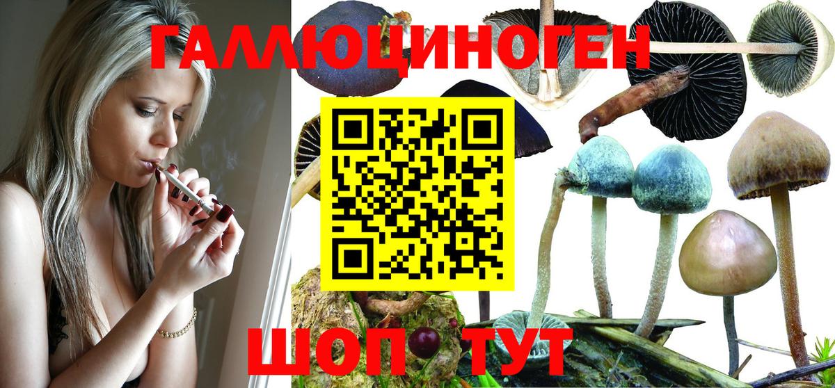 Галлюциногенные грибы Psilocybe  Вход с VPN  Нижнекамск 