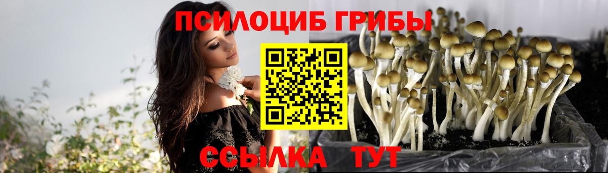 Галлюциногенные грибы мухоморы Нижнекамск